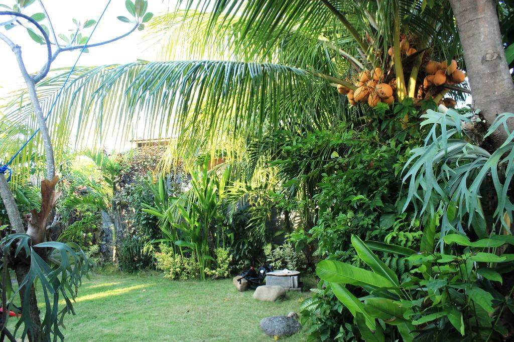 Hotel Toke Menjangan Banyuwedang Esterno foto