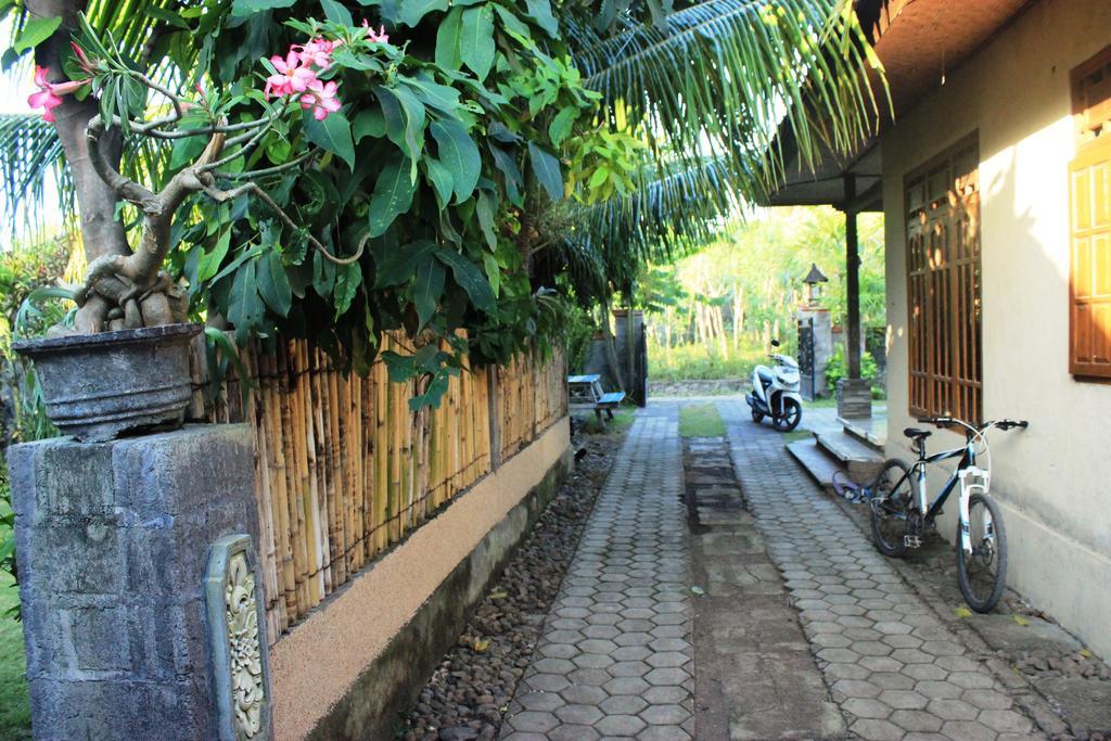 Hotel Toke Menjangan Banyuwedang Esterno foto