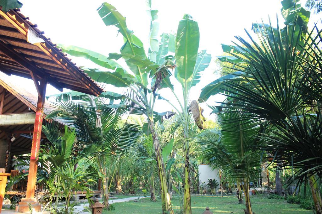 Hotel Toke Menjangan Banyuwedang Esterno foto